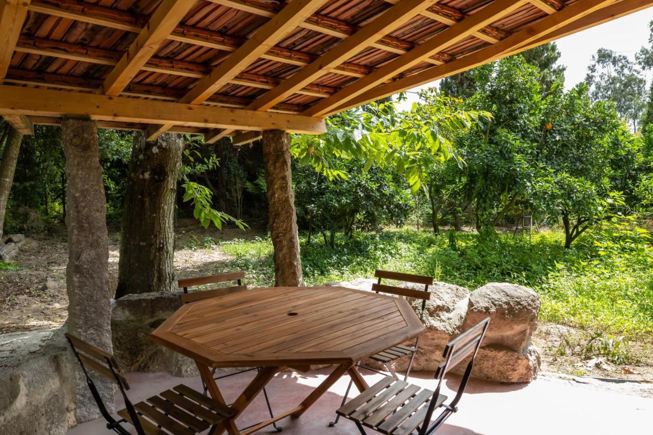 Casas Do Capitao - Paiva Valley - Pool And Nature Castelo de Paiva Ngoại thất bức ảnh
